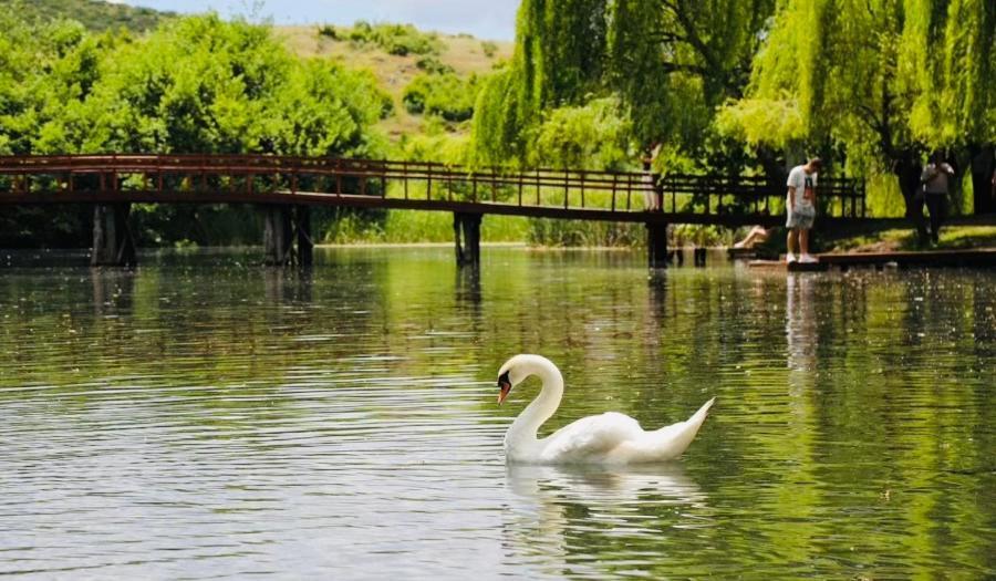 Charming House Apartment Pogradec Luaran gambar