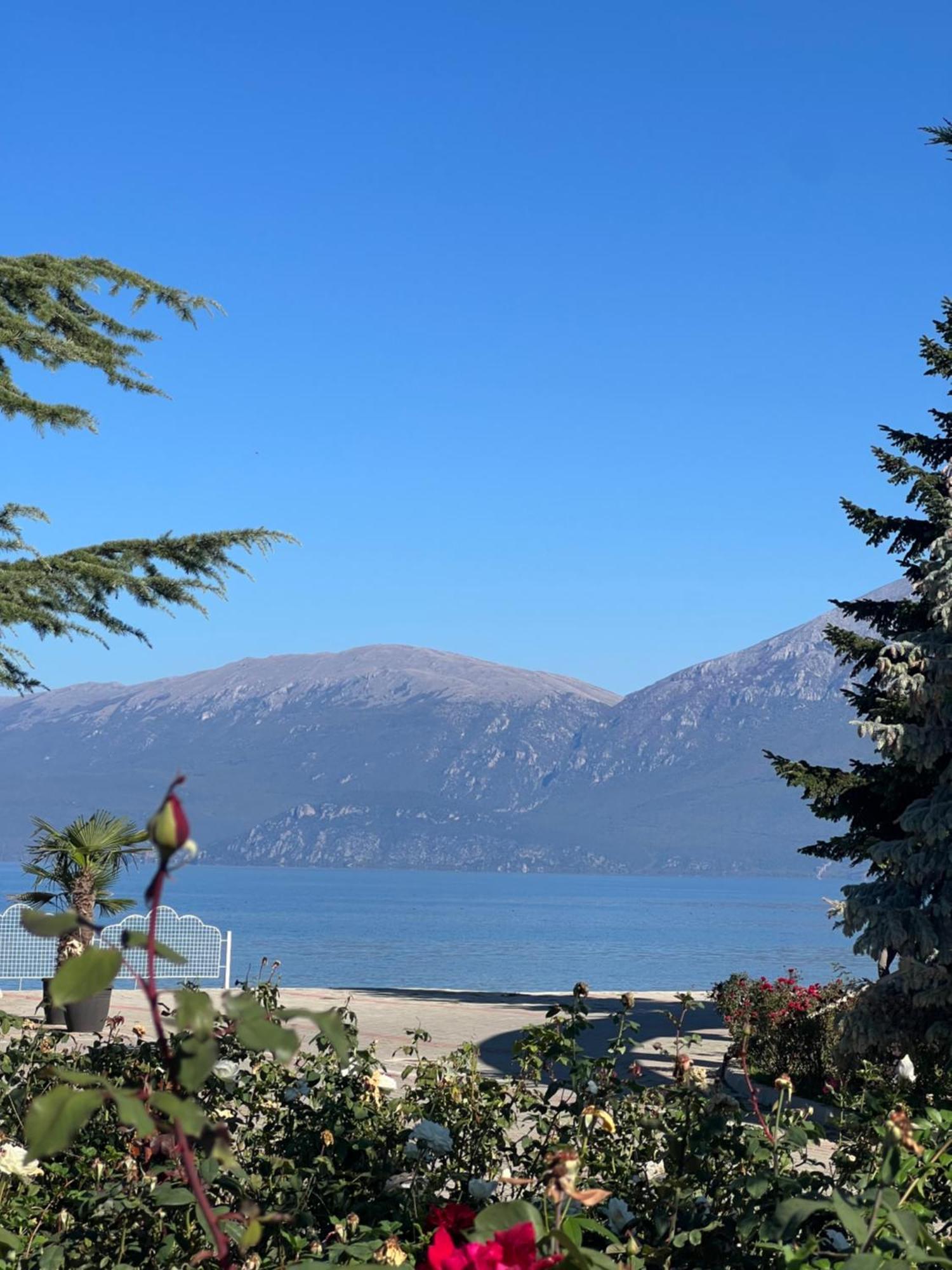 Charming House Apartment Pogradec Luaran gambar