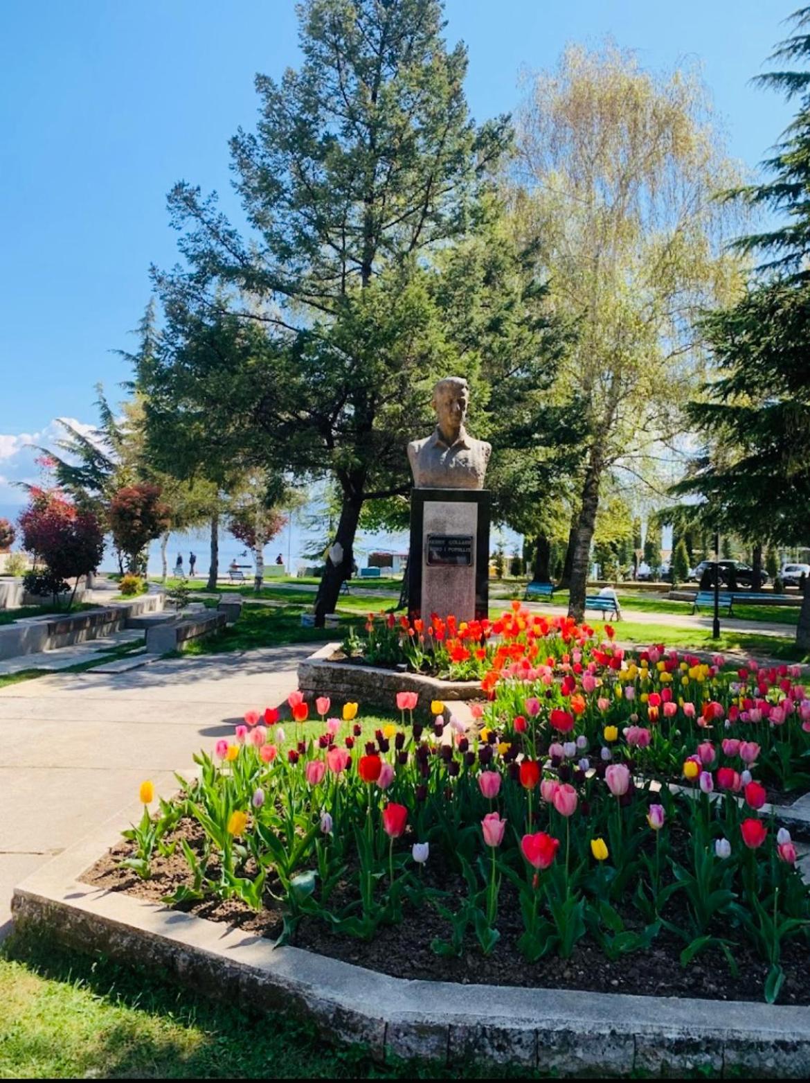 Charming House Apartment Pogradec Luaran gambar
